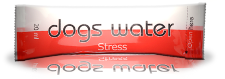 Dogs Water Stress